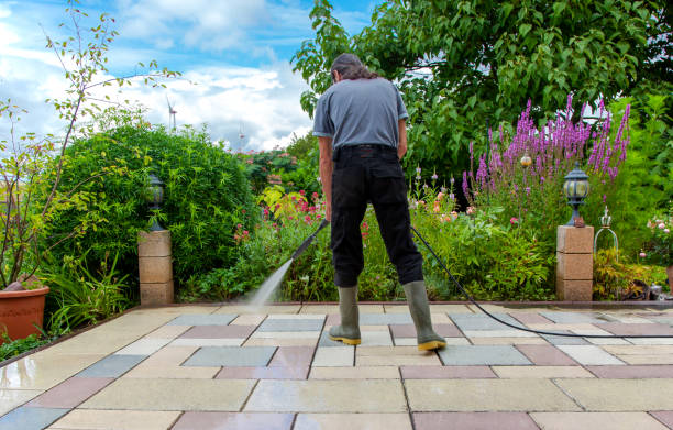 Best Animal Enclosure Cleaning  in Fyffe, AL